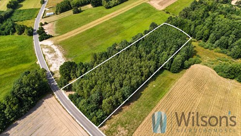 Działka 7100 m² pod dwie inwestycje w Sokołowie Włościańskim - zapraszam działka Sokołowo Włościańskie