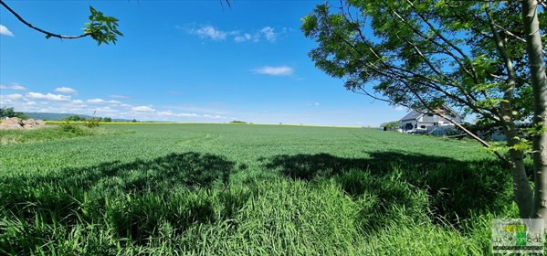 Działka 2559 m² pod inwestycję z dostępem do infrastruktury działka Lutomia Dolna