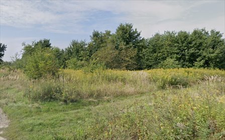 działka na sprzedaż 2800m2 działka Rudna Mała