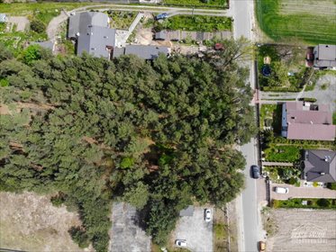 Działka leśna na sprzedaż Pożdżenice 6 206m2 Foto 3