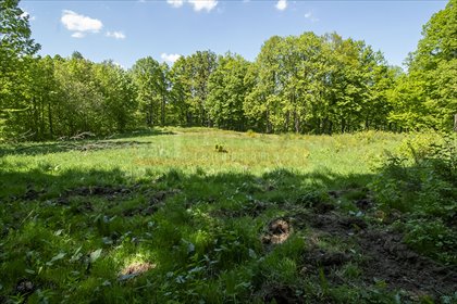 działka na sprzedaż 4250m2 działka Jarnołtówek