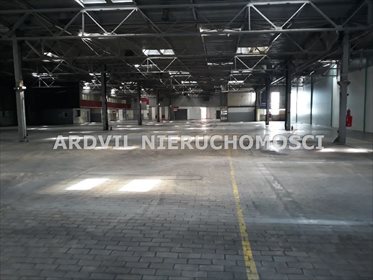 lokal użytkowy na wynajem 1000m2 lokal użytkowy Białystok, Białostoczek