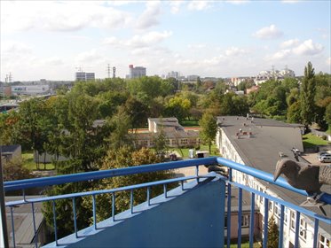 Na wynajem przestronne 2-pokojowe mieszkanie z balkonem w Katowicach mieszkanie Katowice, Koszutka, Grażyńskiego