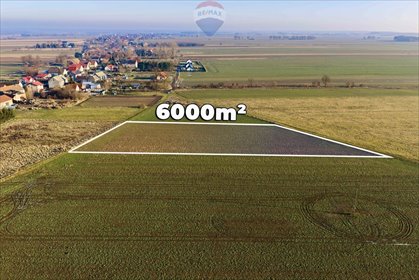 działka na sprzedaż 6000m2 działka Chocianowiec