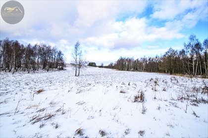 działka na sprzedaż 3000m2 działka Michałkowa