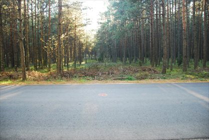 Działka siedliskowa na sprzedaż Krzyż, Xxx, XXX, Xxx 12 001m2 Foto 7