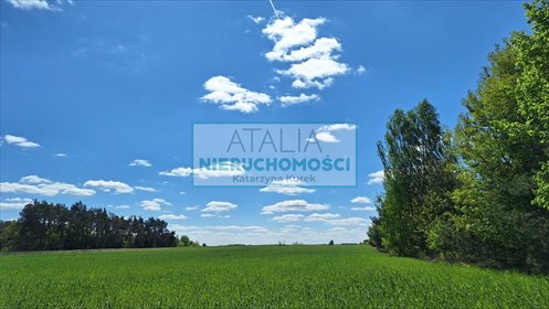 Malownicza działka 3217 m² z energią i ciszą działka Wola Pieczyska