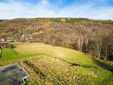 działka na sprzedaż 3900m2 działka Międzybrodzie Bialskie