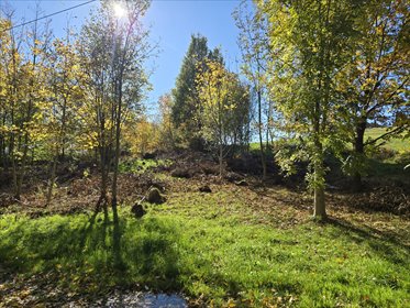 działka na sprzedaż 874m2 działka Gorlice, Biechońskiego