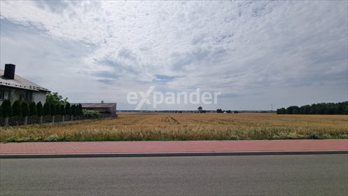 działka na sprzedaż 1018m2 działka Miedźno, Dębowa