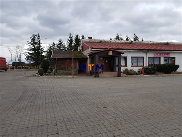 Lokal użytkowy na sprzedaż Kikorze 1 290m2 Foto 5