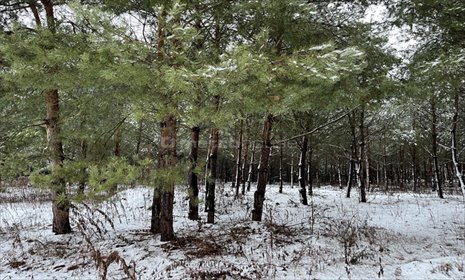 działka na sprzedaż 2000m2 działka Błędowo