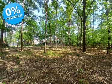 działka na sprzedaż 1250m2 działka Laski