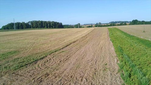 działka na sprzedaż 318700m2 działka Golczewo