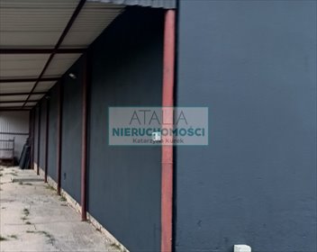 Magazyn 230 m² z izotermą, panele fotowoltaiczne magazyn Musuły