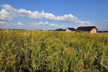 Działka 850 m² pod inwestycję, blisko ul. Malczewskiego działka Syców, Jacka Malczewskiego