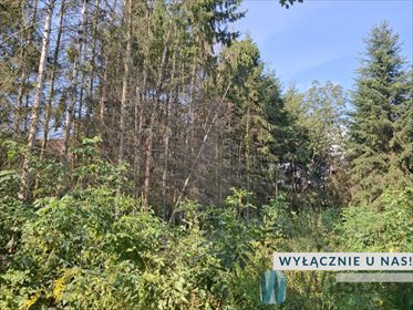 Działka rolna 13 000 m² z możliwością budowy w Załuskach działka Załuski