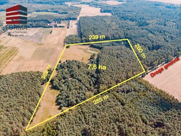 Działka budowlana na sprzedaż Zajączkowo, Zajączkowo 70 600m2 Foto 3