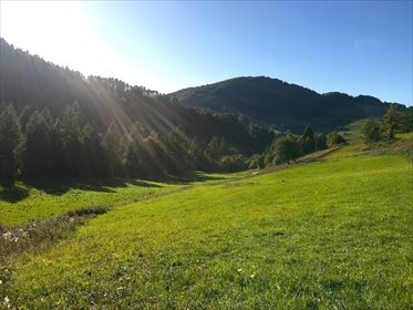 Działka budowlana na sprzedaż Wierchomla Wielka, Piwniczna-Zdrój 50 000m2 Foto 4