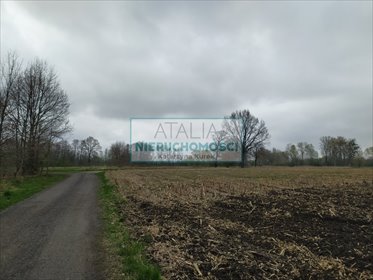 Działka 1345 m² z prądem w spokojnej okolicy - zapraszam działka Budy Zosine