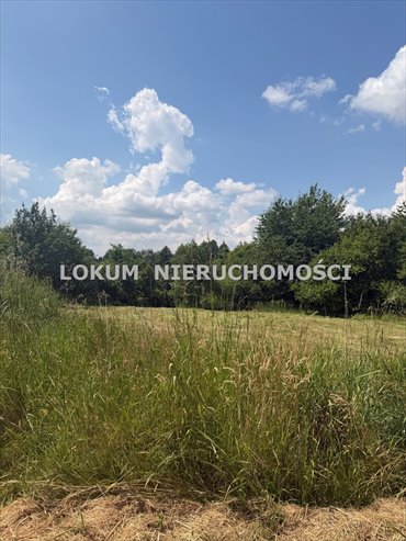 Działka 13 371 m² z częścią budowlaną i rolną działka Jastrzębie-Zdrój, Ruptawa, Rajdowa