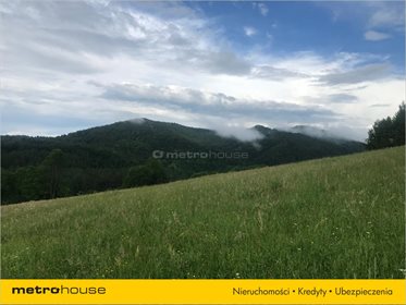 Działka rolna na sprzedaż Bukowiec, Solina 13 100m2 Foto 4