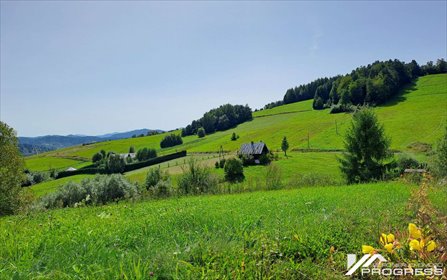 Drewniany dom z historią kolejki narciarskiej, widoki na Bieszczady dom Polańczyk