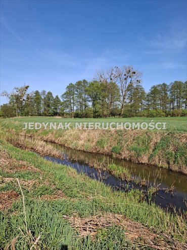 Działka 4037 m² w Zamościu - blisko Kanału Noteckiego działka Zamość