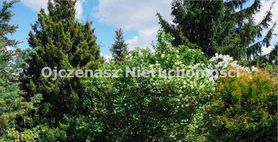 Działka rekreacyjna 304 m² pod domek letniskowy. działka Koronowo, Pieczyska