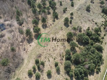 Działka budowlana na sprzedaż Mniszek 971m2 Foto 4
