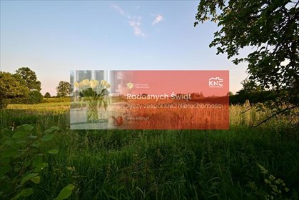 działka na sprzedaż 5400m2 działka Panieńszczyzna