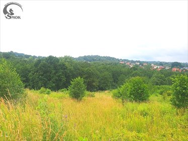 działka na sprzedaż 1000m2 działka Tomaszkowice