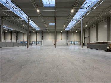 lokal użytkowy na wynajem 6150m2 lokal użytkowy Bolesławiec