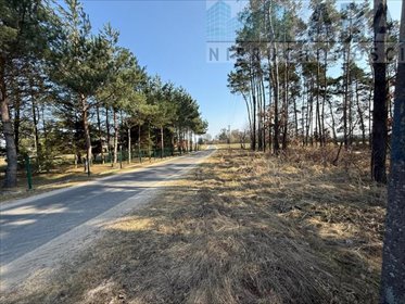 działka na sprzedaż 5600m2 działka Niezgoda