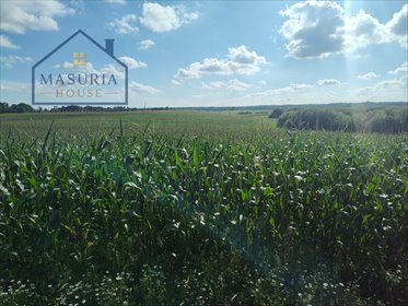 Zapraszam do obejrzenia działki 30 800 m² w Urowie działka Urowo