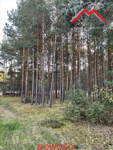 działka na sprzedaż 3125m2 działka Sowia Wola