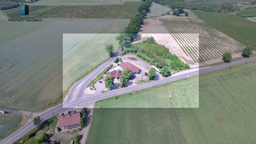 Działka inwestycyjna na sprzedaż Podpniewki 5 000m2 Foto 2