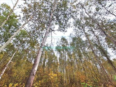 działka na sprzedaż 3300m2 działka Jaktorów