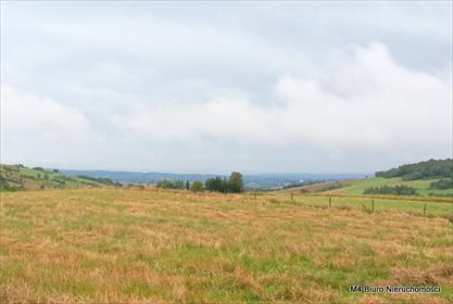 działka na sprzedaż 8500m2 działka Łajsce