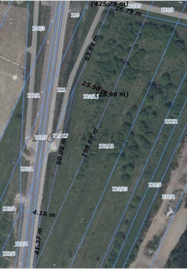 Działka 3730 m² pod firmę z dostępem do drogi asfaltowej działka Dawidy, Złote Łany