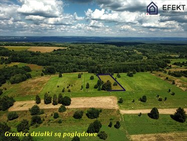 Działka rolna 5539 m² w Płazie - zapraszam działka Płaza