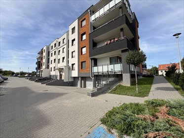 Na sprzedaż przestronne 53 m² na parterze z tarasem i windą mieszkanie Malbork, Jagiellońska