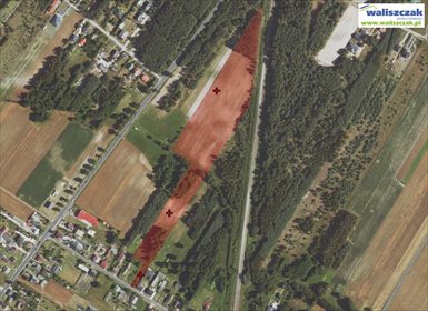 działka na sprzedaż 35900m2 działka Ignaców