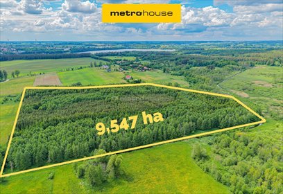 Inwestycyjny las 9,5 ha z planem urządzenia i wysokim potencjałem działka Możne