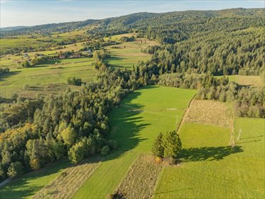 działka na sprzedaż 16059m2 działka Skomielna Biała