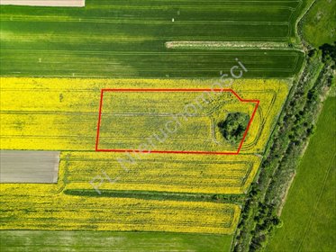 Sprzedam działkę budowlaną 36 arów blisko zalewu w Chlebni działka Chlebnia