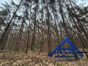 Działka 1820 m² w Magdalence z mediami - zapraszam działka Magdalenka