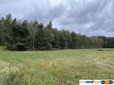 działka na sprzedaż 4113m2 działka Sieraków