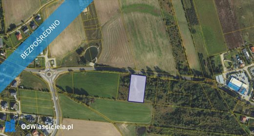 działka na sprzedaż 4115m2 działka Dębogórze