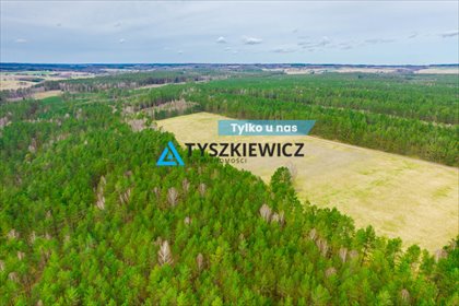 działka na sprzedaż Zielin 34300 m2